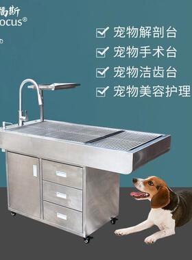 赛福LPV动物清处置斯台狗洁齿不锈钢解剖猫洁护理美狗容桌宠物手
