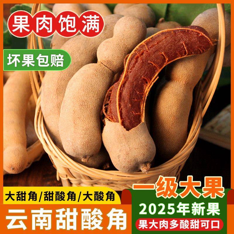 果司机酸角云南特产新鲜野生大甜角孕妇零食甜酸角酸枣糕罗望子