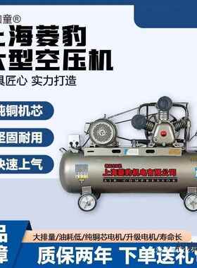 新款漆气泵22vBWS大功0率真石空压机气气泵活塞大型工业级空压麦