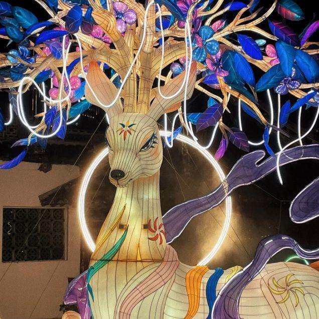 户外大型花灯动物龙造型龙灯彩灯春节元宵节新年花灯广场源头厂家