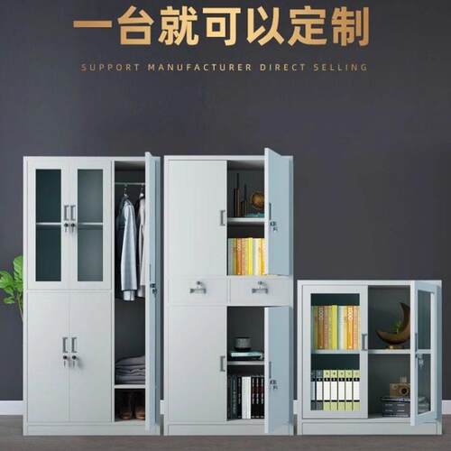 定制文件柜铁皮柜更衣柜储物柜档案柜书柜车位车库柜不锈钢柜子