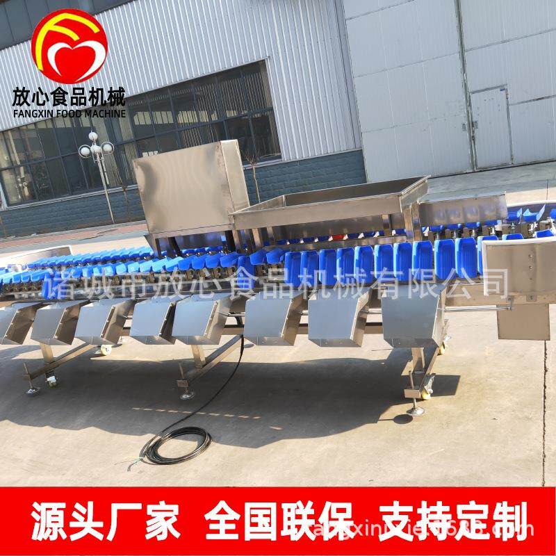 自动称重分选机 海参海蛎子扇贝分拣机 料盒重量分选机分级机