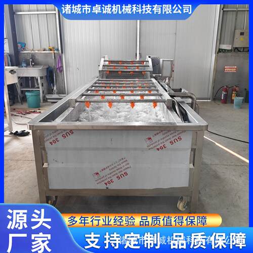 柑橘气泡清洗机 杨梅草莓果蔬喷淋清洗设备 辣椒预制菜清洗线