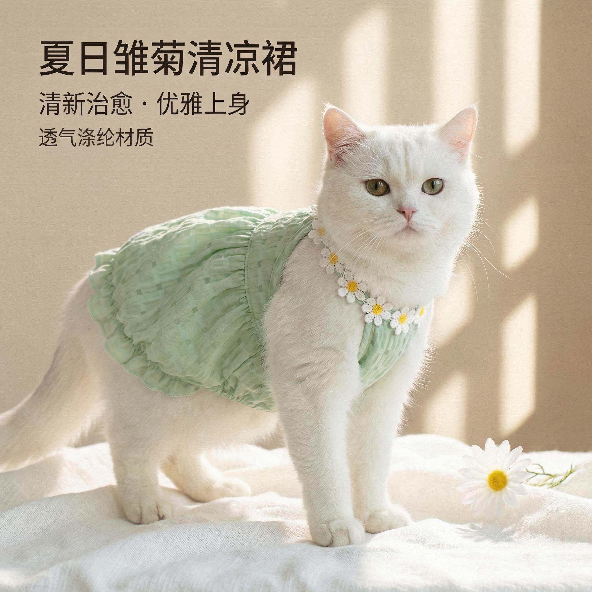 猫咪衣服防掉毛夏季薄款布偶猫狗狗夏天小猫宠物幼猫凉凉猫猫背心