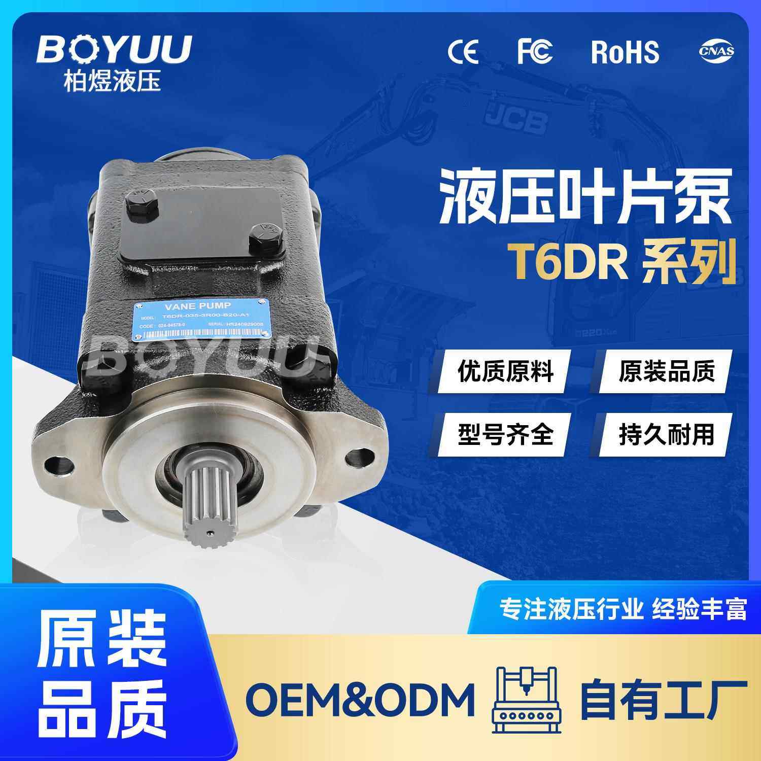 T6DR-035-3R00-B20-A1叶片泵 用于石油设备 新能源 厂家直销