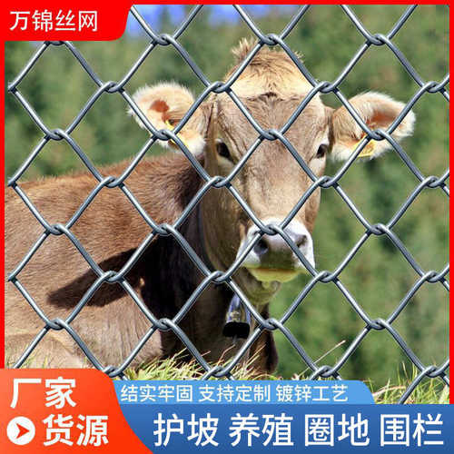 勾花网镀锌菱形钢丝网动物园果园防护围网圈山牛羊养殖铁丝网围栏