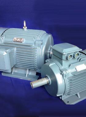 铜芯线实体厂家电动机厂家电机厂家YP2-180M-2 22KW宽频电机