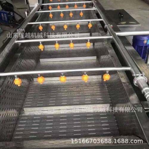 商用果蔬清洗机全自动大枣清洗机海产品毛刷去泥清洗机