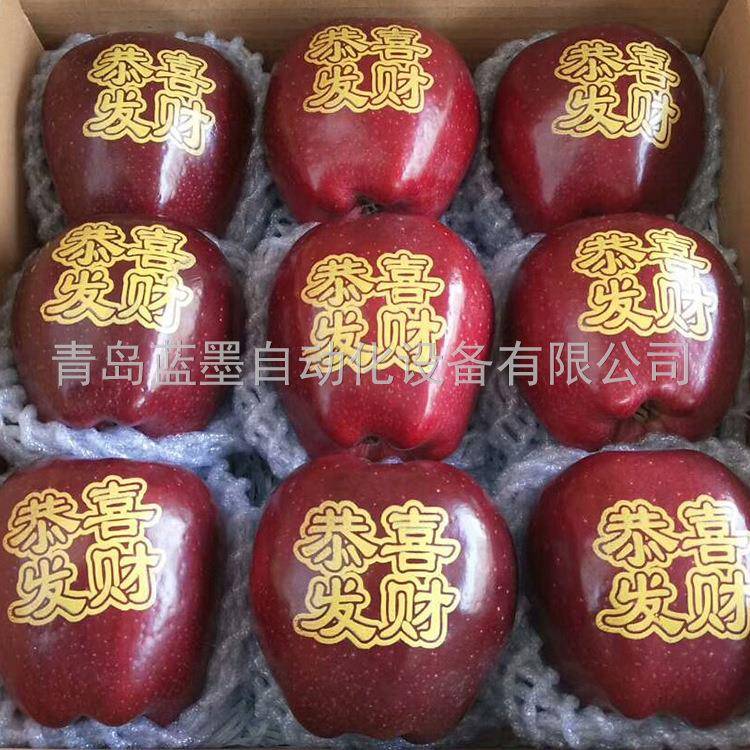 厂家价格水果苹果印字机平安果印字机打字机