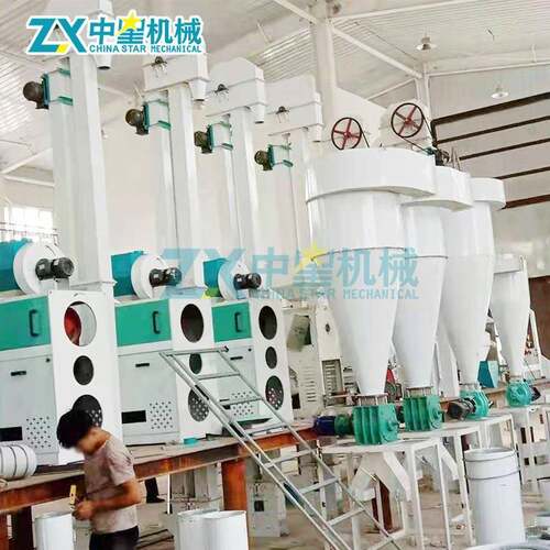 大型水洗藜麦加工机器抛光碾米机藜麦清洗机大型藜麦机加工设备
