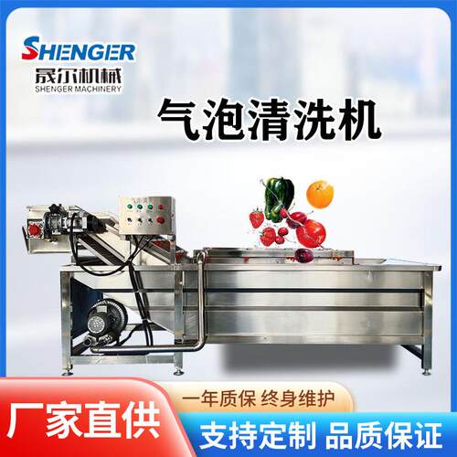 商用预制菜净菜清洗机4000mm小鱼仔清洗线叶菜竹笋去泥沙清洗线