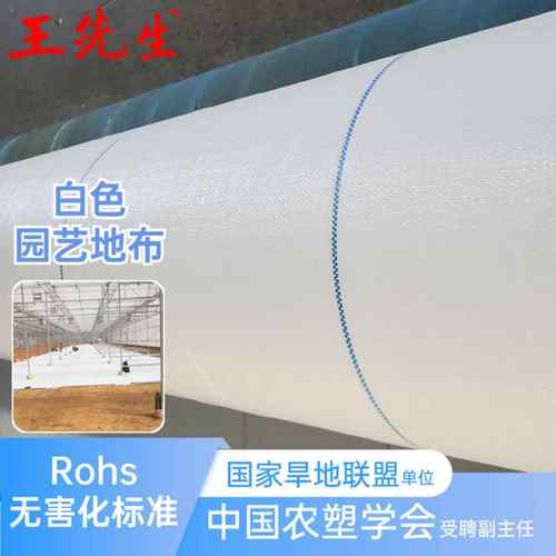 王先生漫反射白色反光地布农用温室番茄草莓加厚耐磨白色防草布