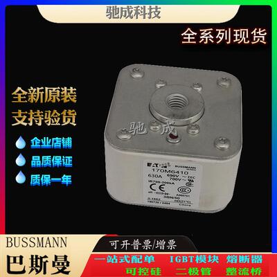 巴斯曼170M6409 170M6410 170M6411 长期优价供应 方体熔断器