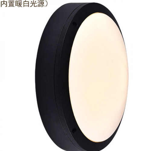 w%人体感应防水防蚊虫吸顶灯户外大门口过道楼道房檐车库感应灯LE