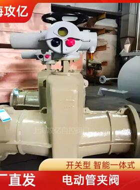 铸铁铝合金GJ941X-6L DN200 AC380V开关型电动管夹阀 胶管阀