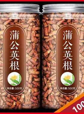 蒲公英根茶500g1斤野生蒲公英茶华花郎根长白山大根粗根罐装天然
