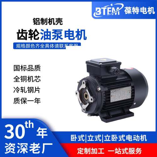 纯铜线叶片泵TOP油泵内插马达 齿轮泵内轴式 铝壳液压三相异步