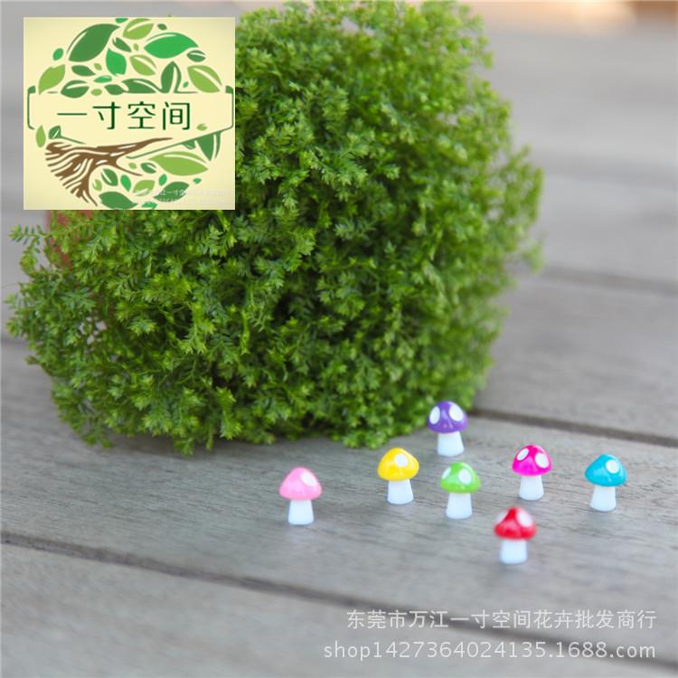 微景观仿真植物彩色树脂小蘑菇多肉花盆盆景摆件配件饰品盆栽装饰