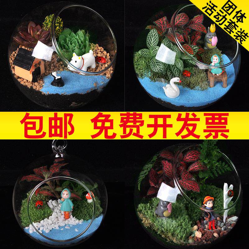 苔藓微景观diy材料包生态瓶手工多肉绿植盆栽礼品套装活动专用