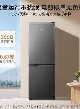美.菱(MeiLing)177升两门冰箱冷藏冷冻小型节能保鲜BCD-177LCX