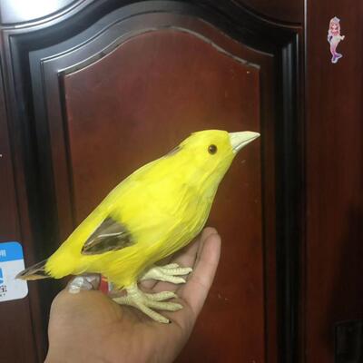 仿真黄鹂鸟花园摆件装饰用品黄丽摄影道具羽毛动物树枝配饰模型