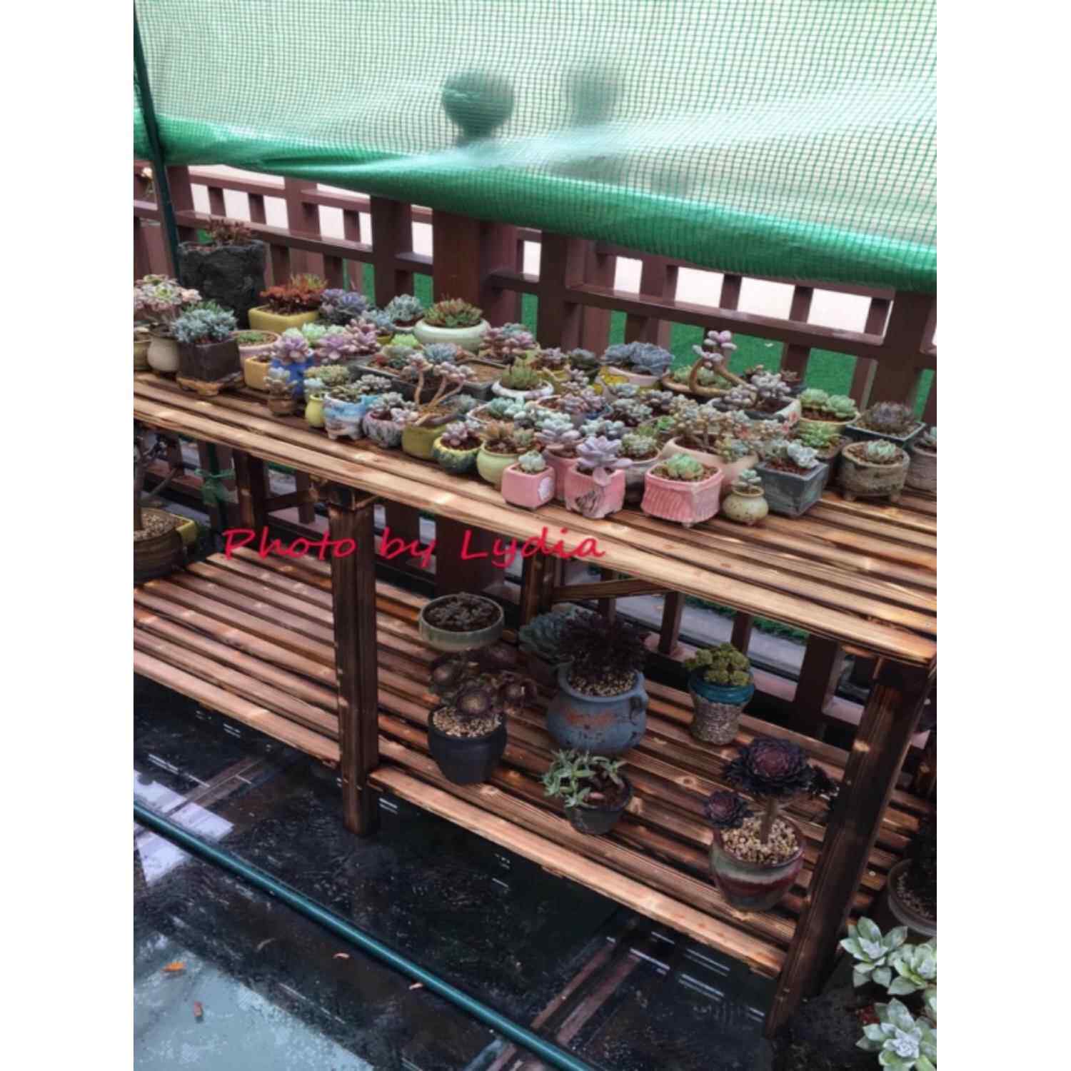 阳台多肉实木花架子简约层板碳化防腐木多功能隔板置物架新品包邮