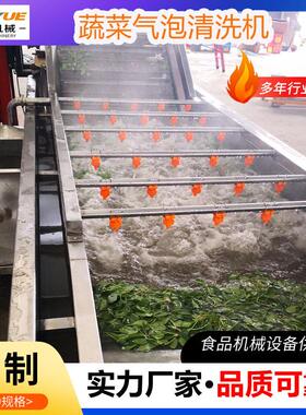 海带清洗机设备自动气泡清洗机净加工CEV清洗线酸全菜脱清洗菜机