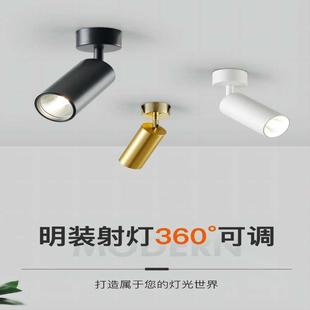 客厅家用背景墙可调角度吸顶式 射灯明装 聚光照画圆形单头小射灯
