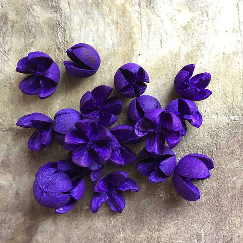 十字果开口笑干花材料批发 手工diy干花工艺品原材料彩色开心果