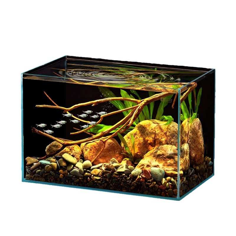 南美生态桌面缸缸裸白超小型溪流造景客厅乌龟鱼缸原生yee玻璃缸