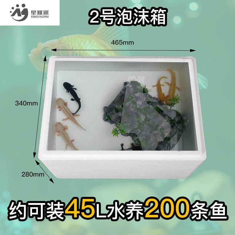 养家用种植泡沫箱蔬菜加厚育箱花园种培鲜植箱花培育果EDQ专用蔬