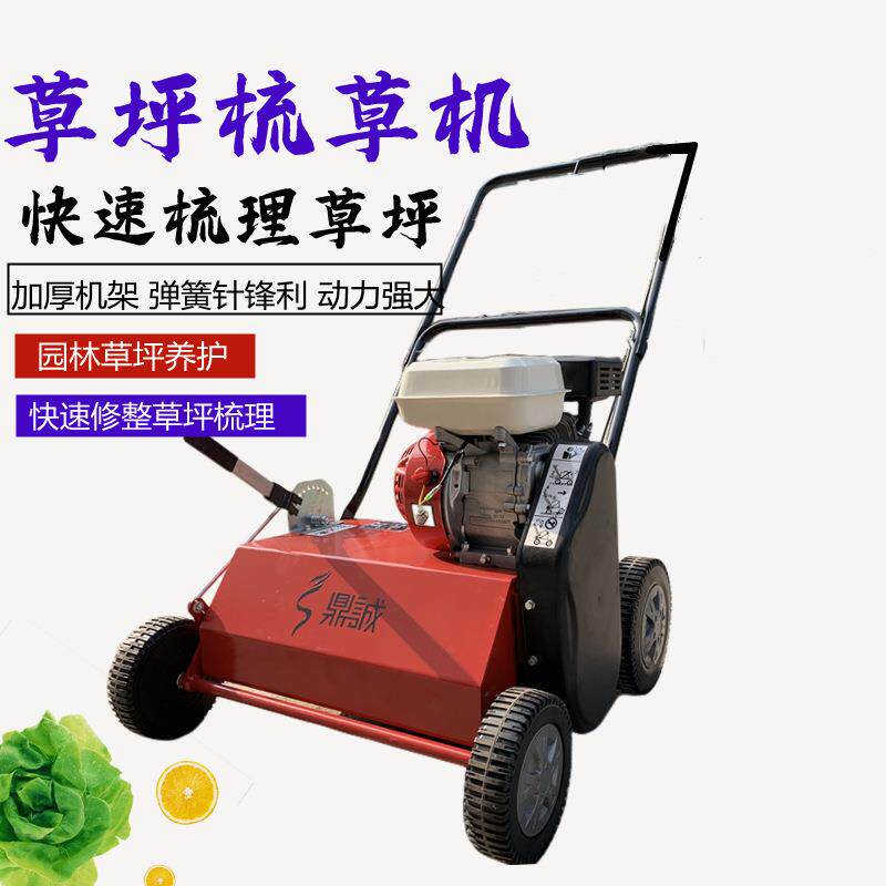 草坪梳草机 草皮养护设备 草坪打孔梳草通透气机 梳理草坪的机器