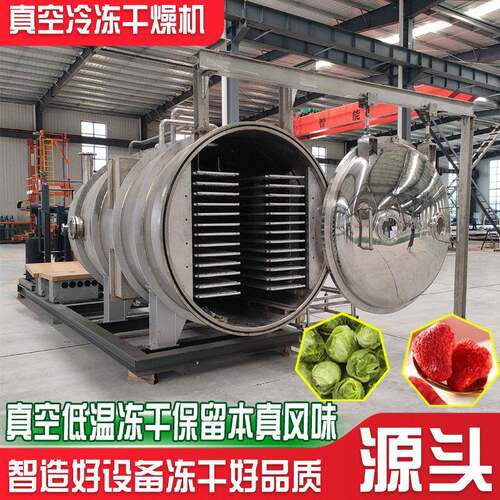 工业级真空冷冻干燥机生产线设备效节能脱水保鲜机械大型冻干机