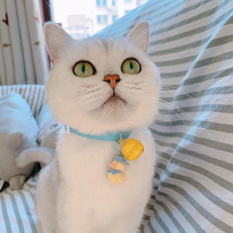 敲可爱小鸭子猫咪项圈可爱铃铛可调节围脖猫猫配饰 今天要加油鸭