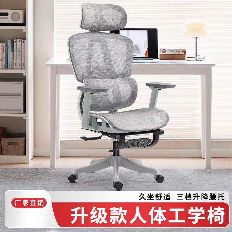竞新款人体工学椅椅空家用-电脑椅办公电椅子可镂调节