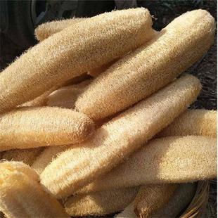 面膜碗勺子套装自种丝瓜络洗碗布水瓜络老瓜瓤搓澡洗澡丝瓜筋丝瓜