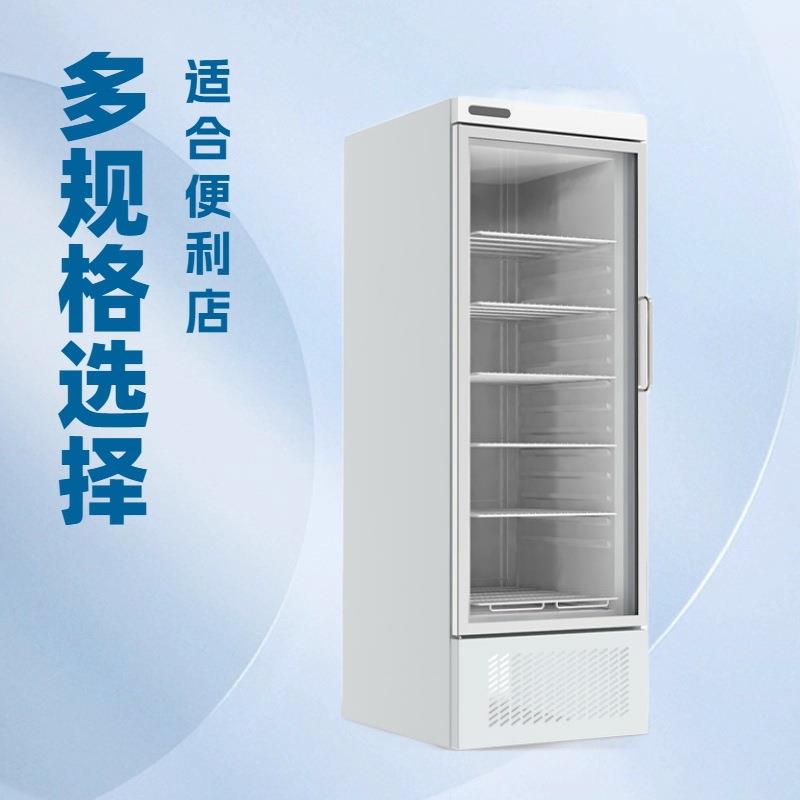 冷藏冷冻展示柜便利店零食饮料保鲜柜单双三门陈列柜冰柜