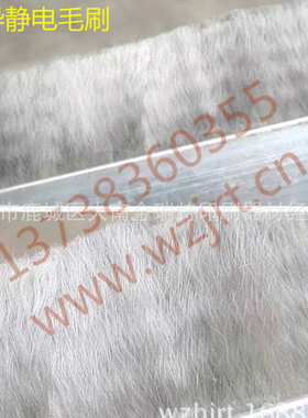 供应碳纤维静电毛刷使用方便JRT毛刷 凹印器材超导静电不锈钢毛刷
