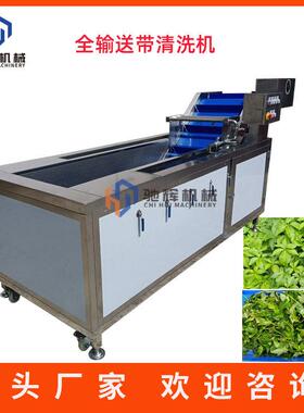 驰辉食品机械商用自动清洗机不锈钢芹菜辣椒清洗机过水飞水机
