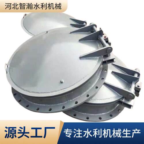 不锈钢塑料钢制拍门铸铁圆形拍门法兰镶铜铸铁拍门DN系列厂家现货