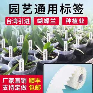 彩色防水植物花牌育苗育种蝴蝶兰花牌标签机打连打园艺标签打印机