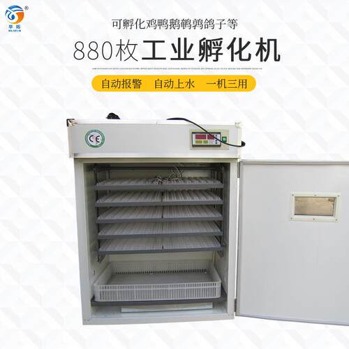 880枚小型全自动孵化机 小鸡孵化箱 鹌鹑孔雀孵化设备 鸡蛋孵化器
