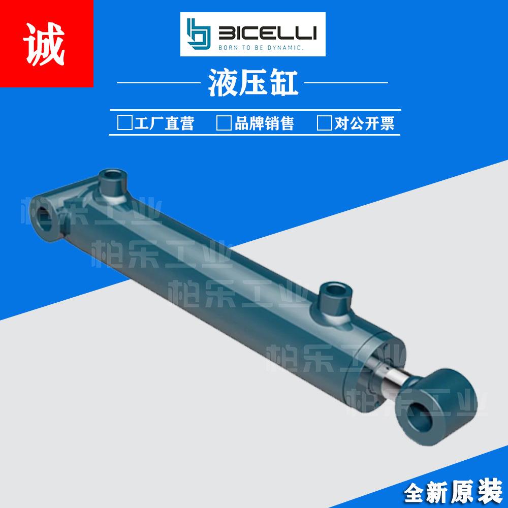 BICELLI小型双向油缸 BTF030025.0100 BIN/BFF/025016.0050液压缸