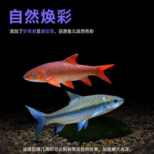 海豚吉罗鱼专用饲料鱼食蓝吉罗金红吉罗鱼颗粒增艳诱色缓沉型鱼粮