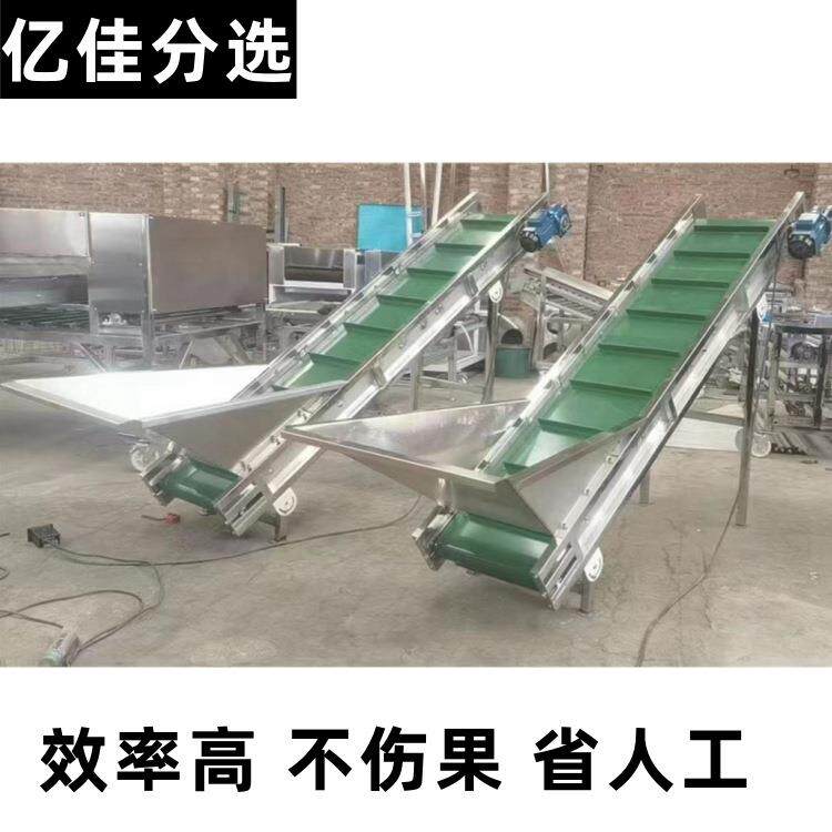 丑橘选果机油茶果分拣机不伤果牛油果筛选机皮带水果分选机