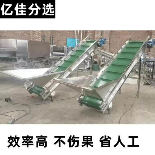 丑橘选果机油茶果分拣机不伤果牛油果筛选机皮带水果分选机