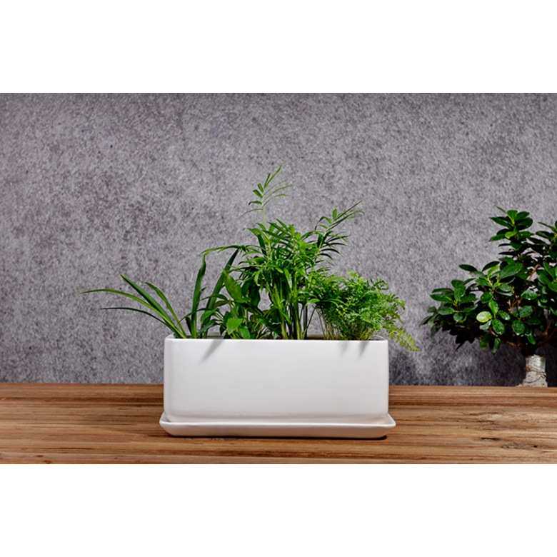 一个包邮大号长方形30厘米带底盘底托花盆阳台种菜盆白色红色黑色