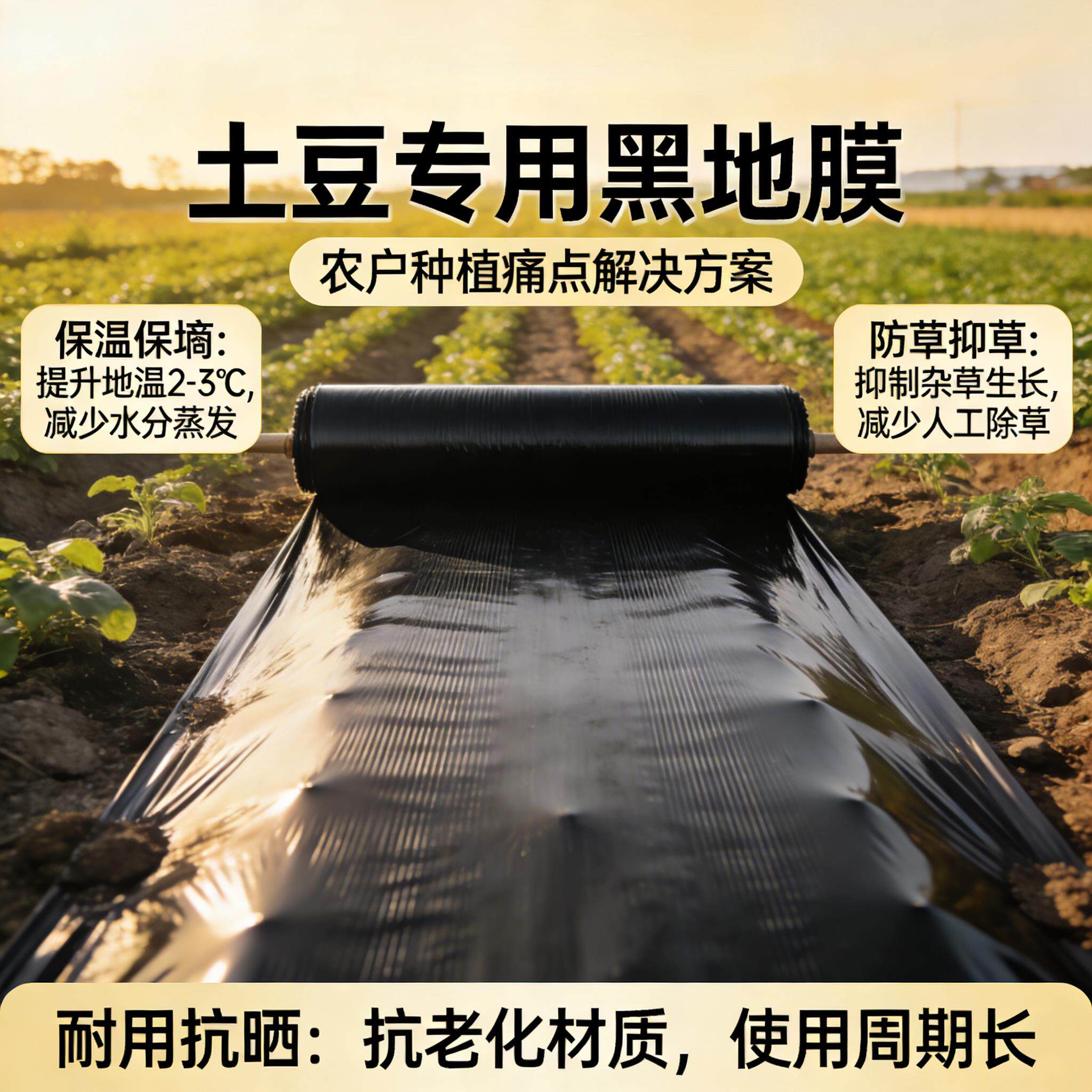 土豆专用地膜黑色加厚塑料薄膜农用种植土豆一次性黑膜盖菜防草布