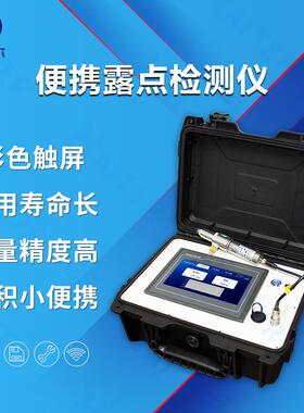 露点仪便携式气体检测微量水分在线检测仪露点变送器PPM级