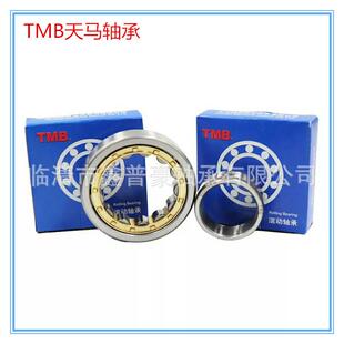 天马轴承NJ2218EM高精度圆柱滚子轴承通用轴承 TMB